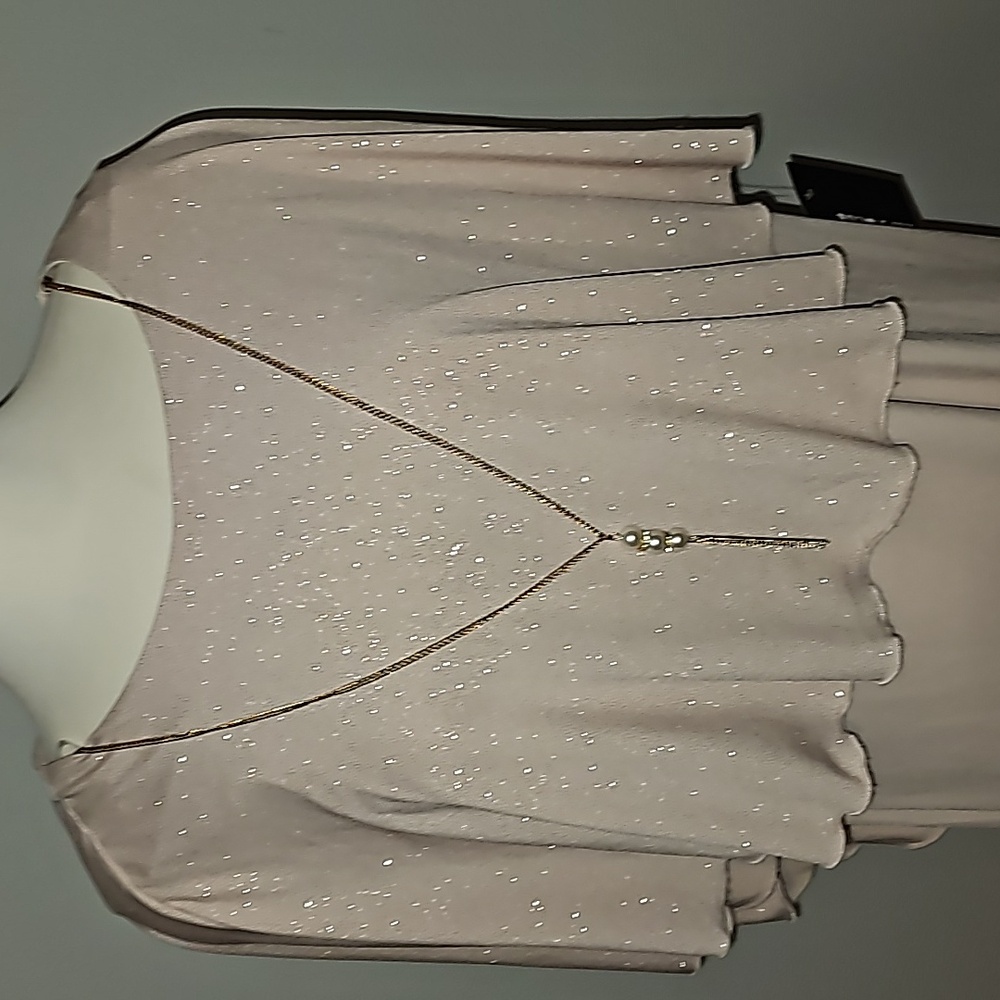 EN FOCUS Studio woman Sparkly Nude + Gold Sheer Tank Dress 16W NWT - Picture 2 of 14
